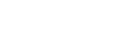 Custom Logo
